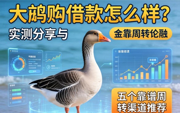 大鹅购借款怎么样？实测分享与五个靠谱周转渠道推荐