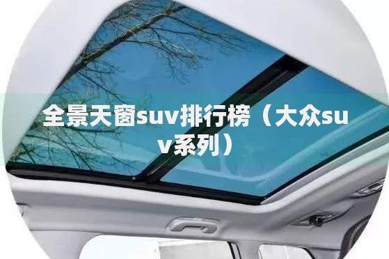 全景天窗suv排行榜（大众suv系列）