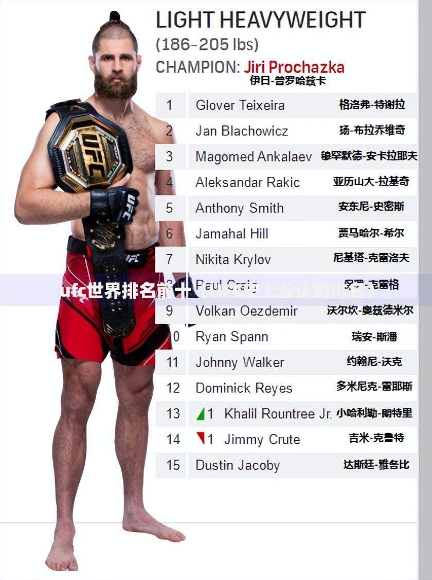 ufc世界排名前十（UFC史上公认的排名）