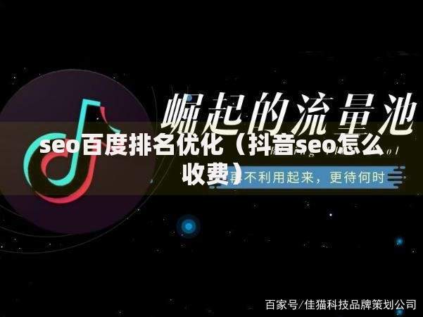 seo百度排名优化（抖音seo怎么收费）