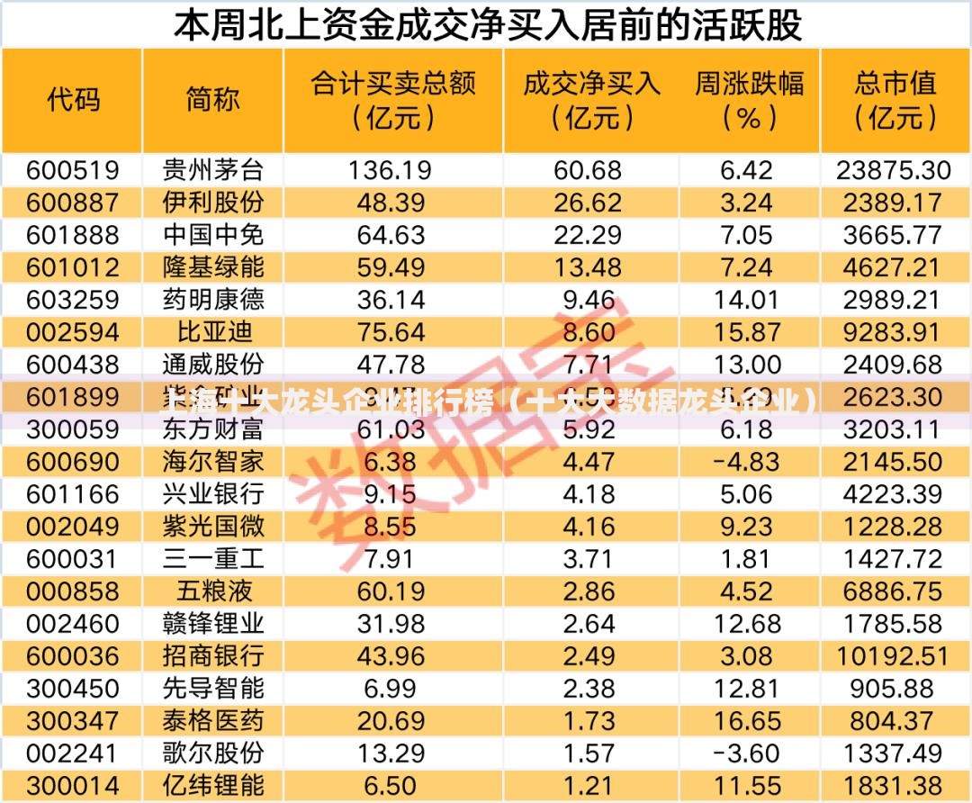 上海十大龙头企业排行榜（十大大数据龙头企业）