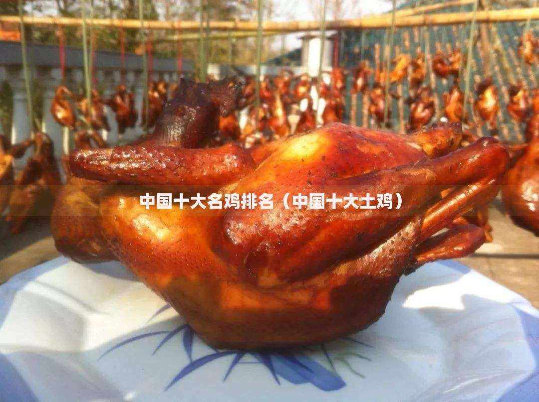 中国十大名鸡排名（中国十大土鸡）