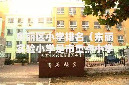 东丽区小学排名（东丽实验小学是市重点小学）