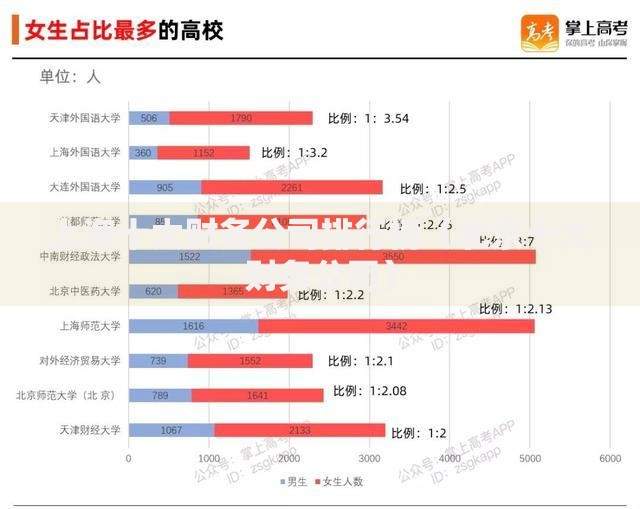 上海十大财务公司排行榜（北京十大财务公司）