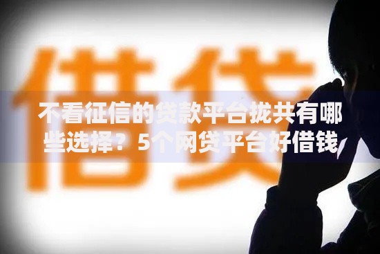 不看征信的贷款平台拢共有哪些选择？5个网贷平台好借钱详解