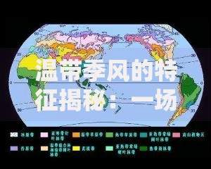 整理黑白户无需征信的小额贷款如何申请？