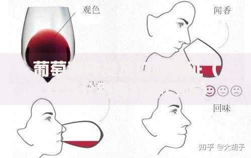 车贷逾期了被起诉了不出庭会怎么样？后果解析与应对方案