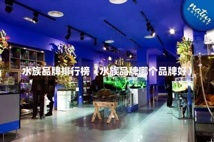 京东金条关闭了怎么重新开通？手把手教你恢复信用额度