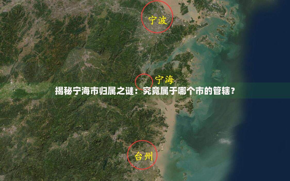 过年放水口子2025申请条件、流程、注意事项全解析