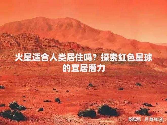 什么样的征信算花？快速自查3大雷区别踩坑