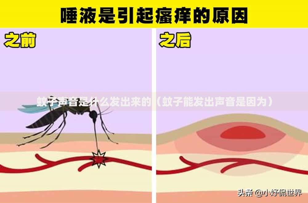 办银行卡必须要身份证吗？这些必备材料和替代方案你知道吗