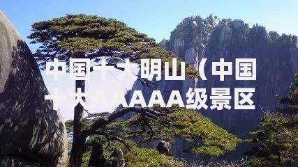 哪个口子贷款1万下款快？申请条件与到账时效解析