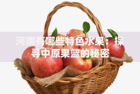 有什么贷款口子平台？正规渠道与申请攻略解析