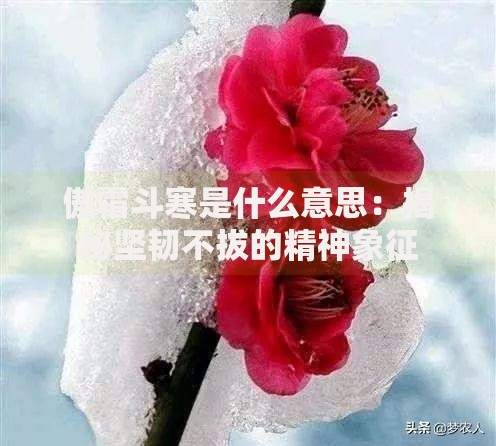 芝麻分670哪些平台适合应急医疗借款？合规渠道解析