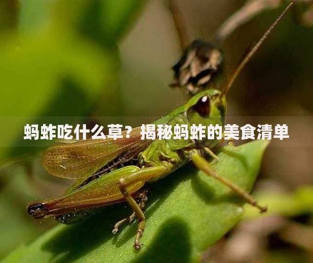 欠微粒贷了6万坐牢亲身经历,真心推荐5个合规的网贷平台