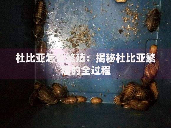 欠微粒贷了6万坐牢亲身经历,真心推荐5个合规的网贷平台