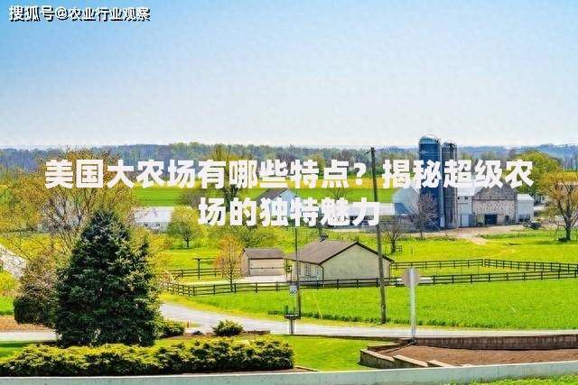 小微借款下款收取费用合法吗？收费标准与注意事项深度解析