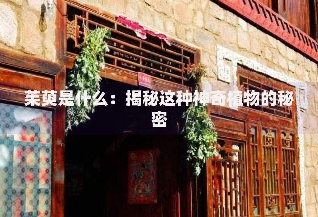 知道身份证号能查征信吗？答案可能和你想的不一样