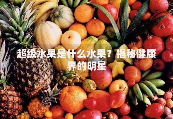 什么软件黑户借款容易？合规平台解析与风险应对