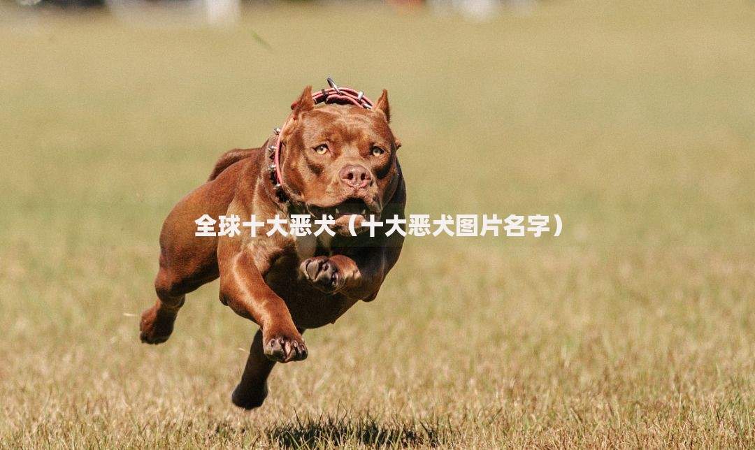 哪些app可以借钱？正规借贷平台推荐与避坑指南