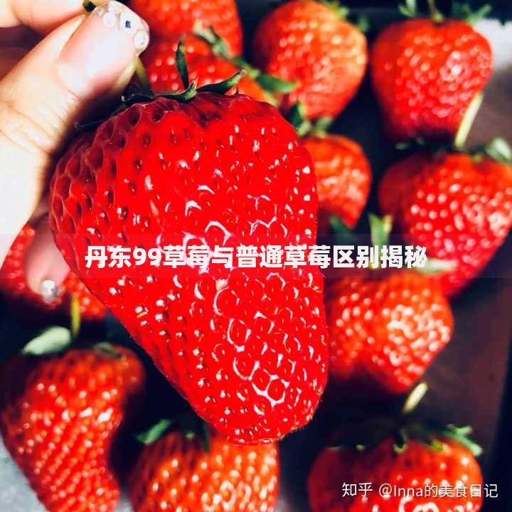 砍头息是什么意思 揭秘借贷陷阱中的高额隐形费用