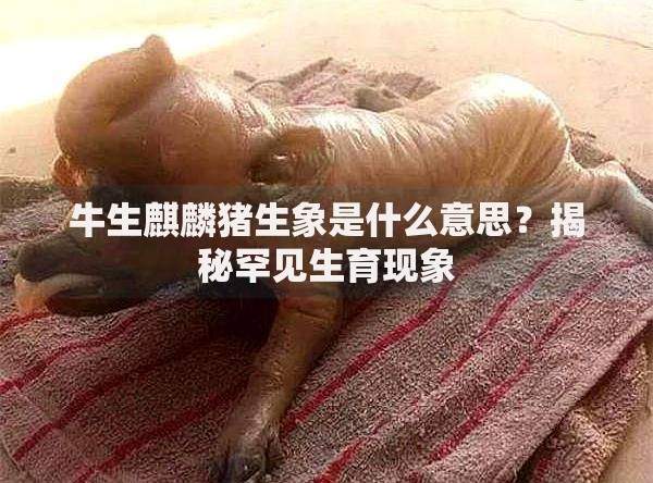 北京本地贷款平台排名榜：最新权威推荐及避坑指南