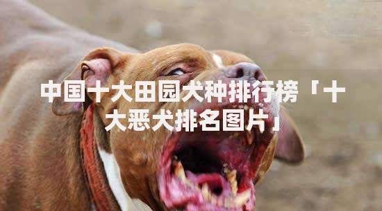 投资和筹资的区别：搞懂这两点，钱才不会“打水漂”