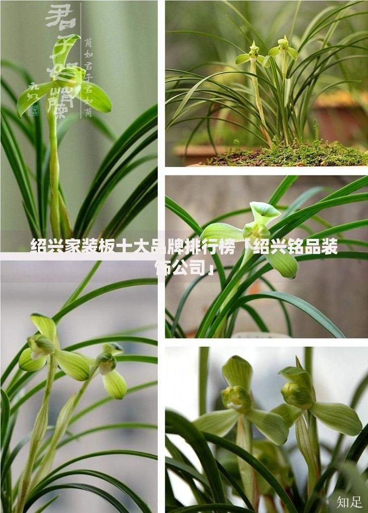 苹果必下款的网贷口子有哪些？正规平台推荐及申请攻略