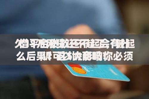 借平台贷款还不起会有什么后果？这5大影响你必须知道！