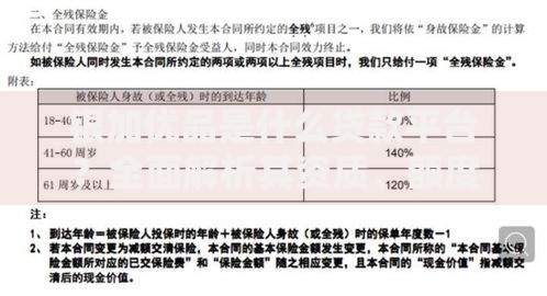 银加优品是什么贷款平台？全面解析其资质、额度及用户评价