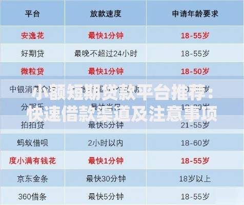 小额短期贷款平台推荐：快速借款渠道及注意事项