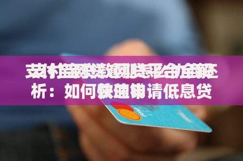 支付宝贷款网贷平台全解析：如何快速申请低息贷款？