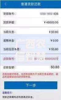 广西农信智慧贷款平台可信吗？真实用户评价与安全性解析