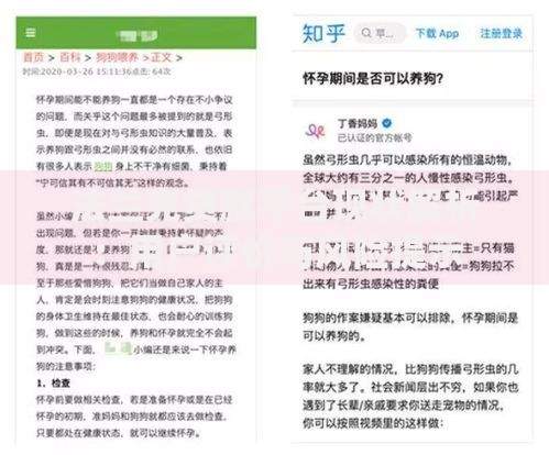 法兰克贷款平台现状解析：用户评价与风险提示