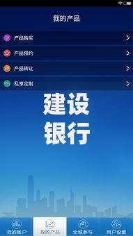 建设银行旗下贷款平台解析：产品、申请条件及常见问题