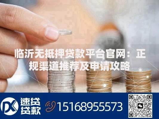临沂无抵押贷款平台官网：正规渠道推荐及申请攻略