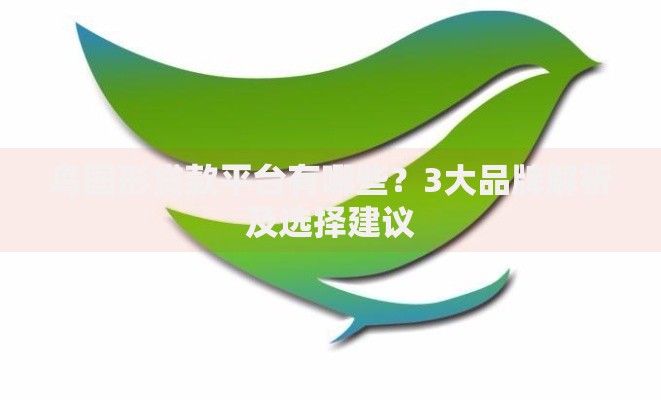 鸟图形贷款平台有哪些？3大品牌解析及选择建议