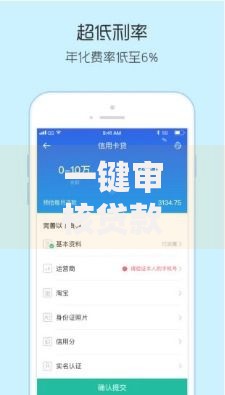 一键审核贷款平台：快速到账与安全审核的完美结合
