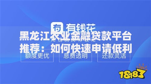 黑龙江农业金融贷款平台推荐：如何快速申请低利率贷款？