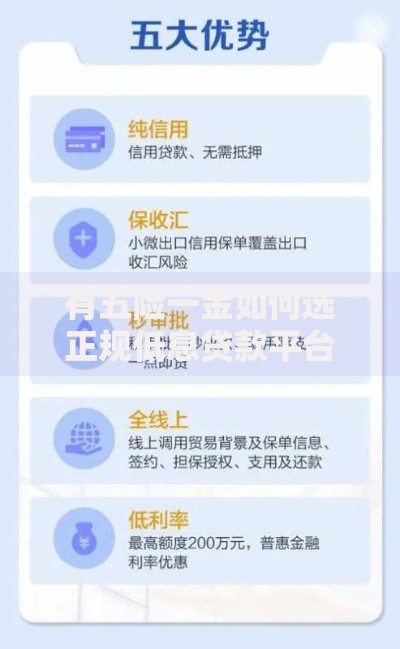 有五险一金如何选正规低息贷款平台？这几点必须知道