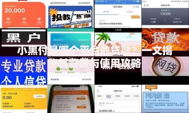 小黑付是哪个平台的贷款？一文揭秘其背景与使用攻略