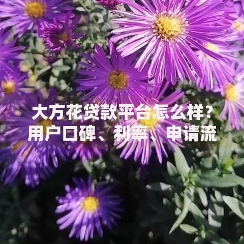 大方花贷款平台怎么样？用户口碑、利率、申请流程全解析