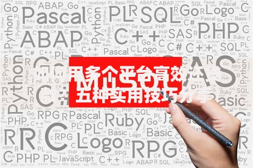 不看征信网贷百分百下款口子，急用钱时如何快速解决资金难题？