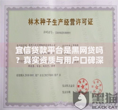2025高炮有下款？最新政策解析与风险规避指南