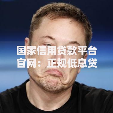 国家信用贷款平台官网：正规低息贷款申请指南