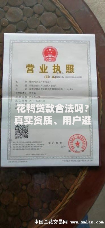大额借款有哪些口子？权威渠道解析与选择指南