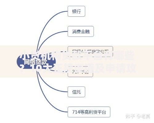 小贷机构贷款平台有哪些？10大正规渠道及申请攻略