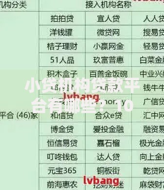 小贷机构贷款平台有哪些？10大正规渠道及申请攻略
