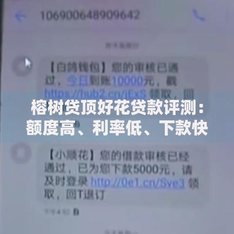 花鸭借钱看不看征信负债？审核条件+用户资质全面解析