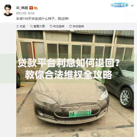 贷款平台利息如何退回？教你合法维权全攻略